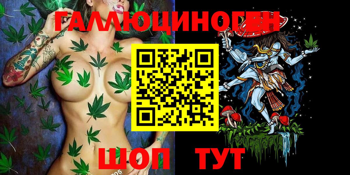 Псилоцибиновые грибы Cubensis Азов