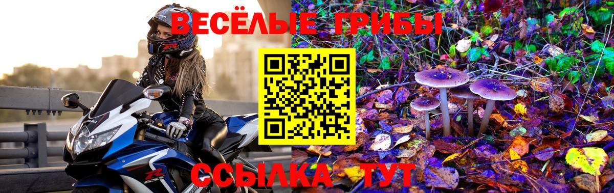 Галлюциногенные грибы мухоморы  Вход с VPN  Галлюциногенные грибы прущие грибы  Азов 